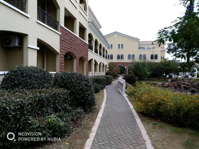 ȼٴη羰6