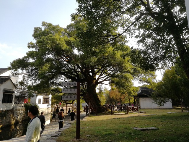 1111Ŵ2