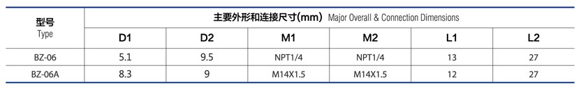  BZ-06/06A